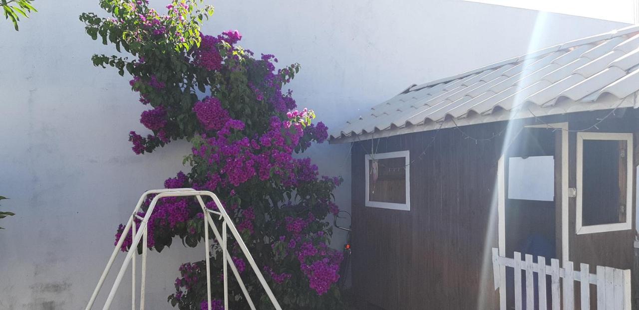 פוז דו איגואסו Pousada Cris Garden Bed&Breakfast מראה חיצוני תמונה