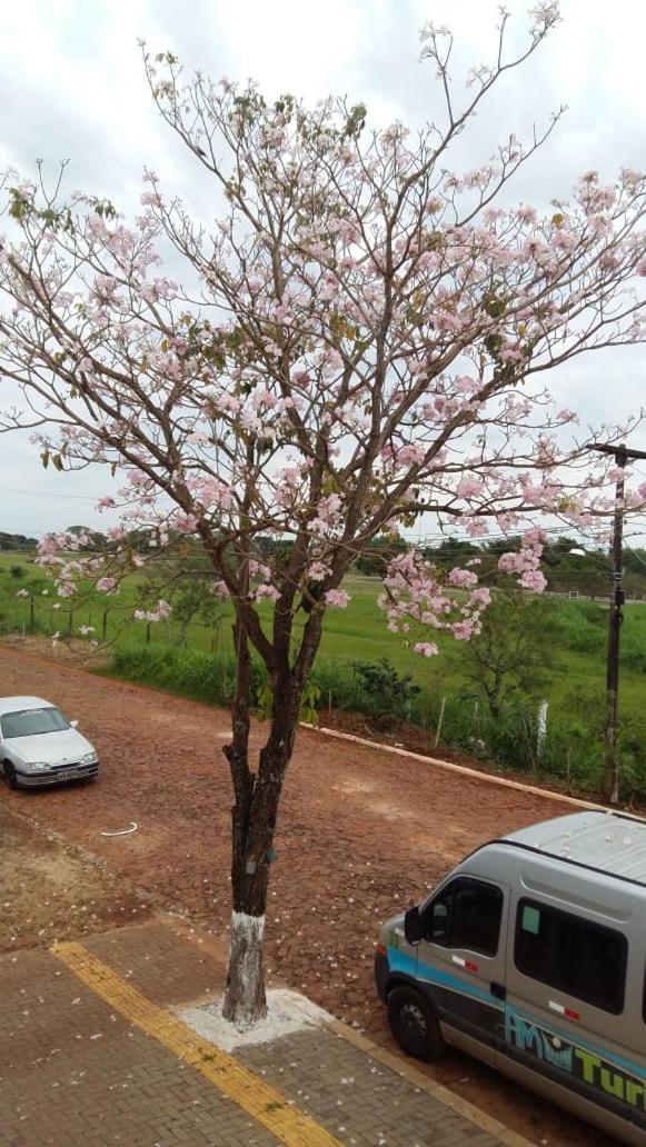 פוז דו איגואסו Pousada Cris Garden Bed&Breakfast מראה חיצוני תמונה